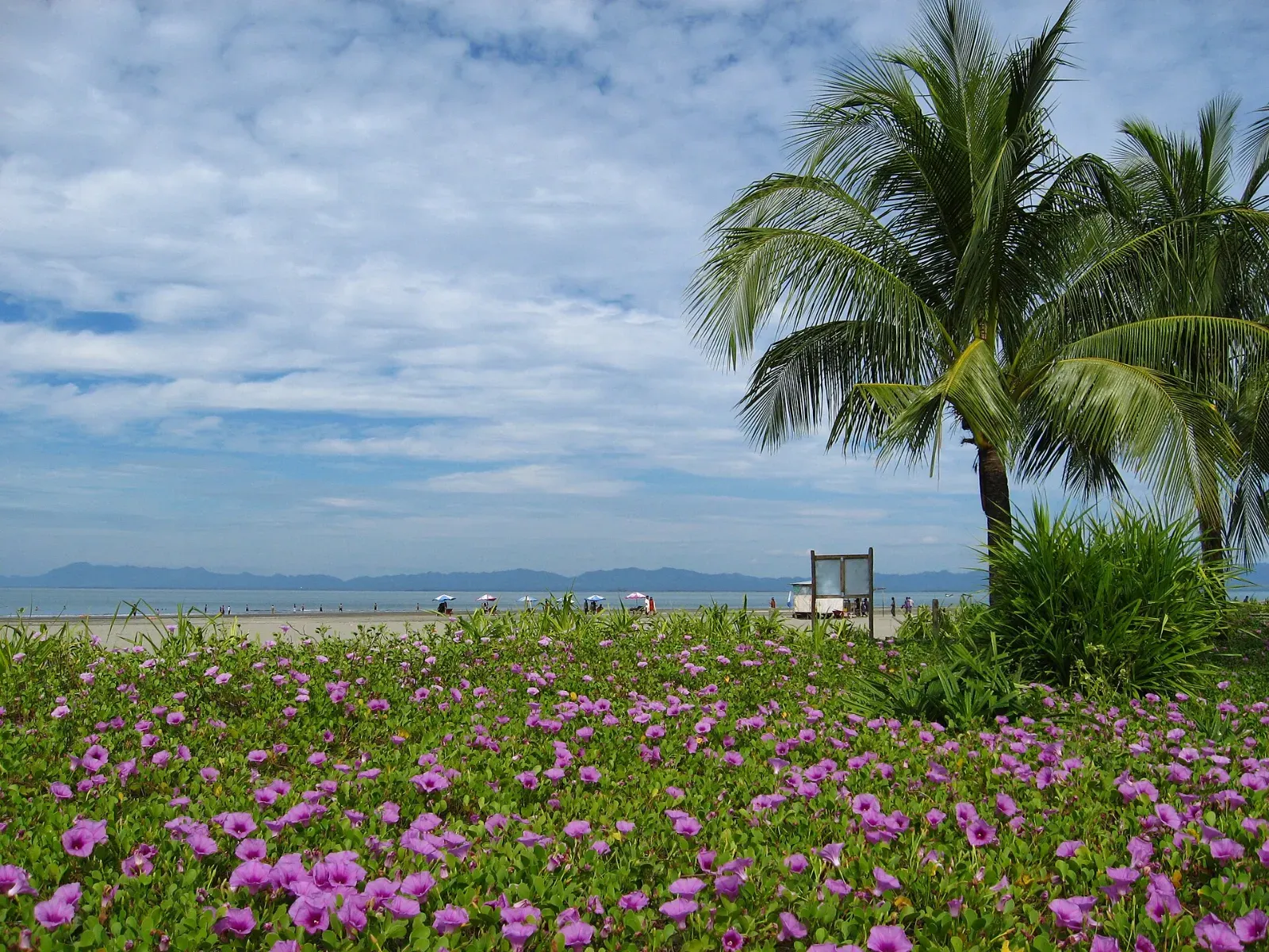 Premium beach resorts